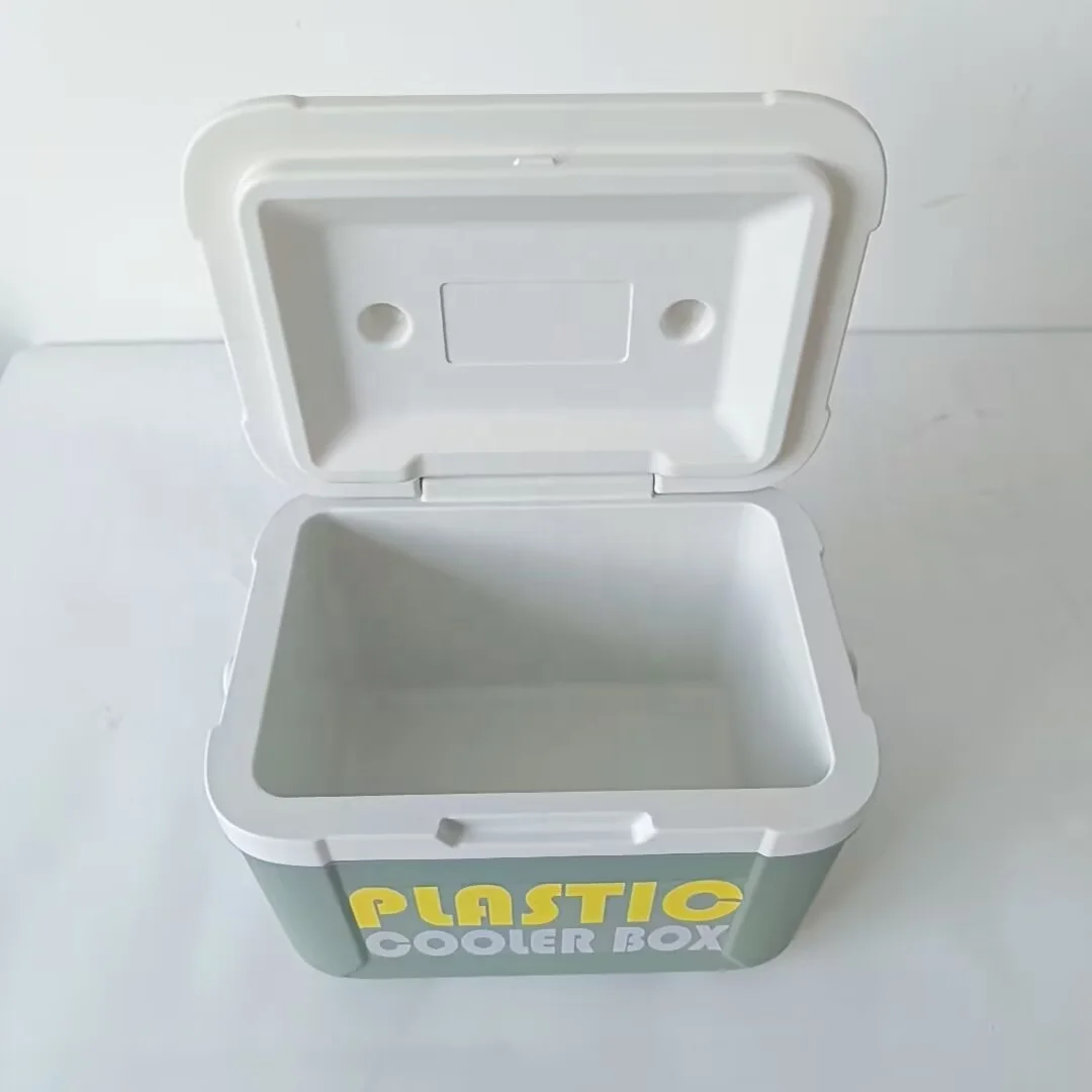 HS plastic cooler 5L small  ice bucket with logo  promotion for mini cooler  picnic sports hard food cooler keep item cooling