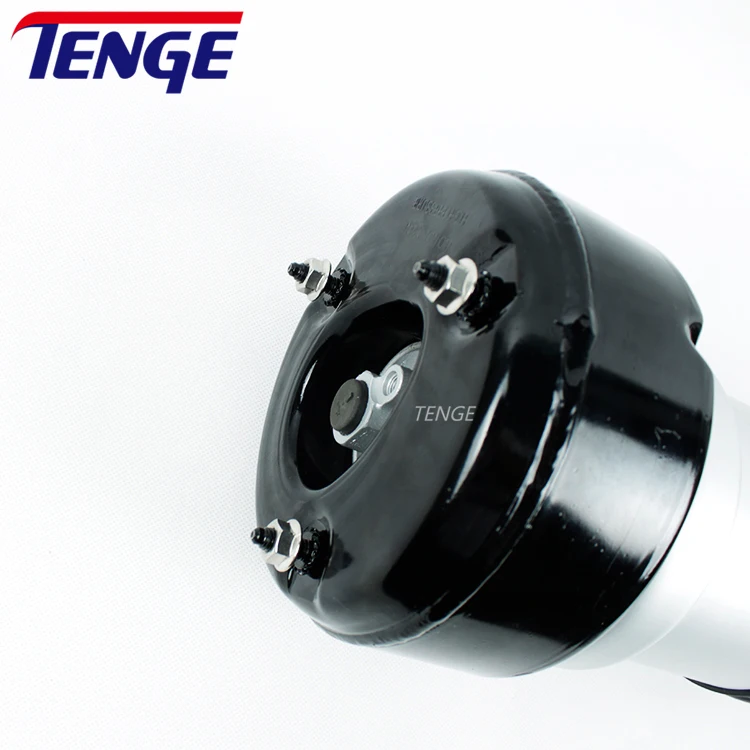 2213205613 Hot Sell Rear Right Air Suspension Strut Shock Absorber For Mercedes S Class W221 S320 S350