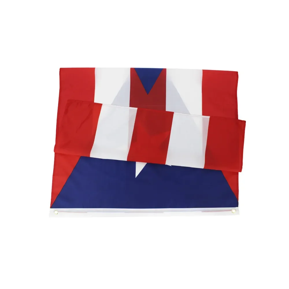 Ready To Ship 3x5 Ft 90x150cm Country Puerto Rico Flag red white blue flags with logo custom print