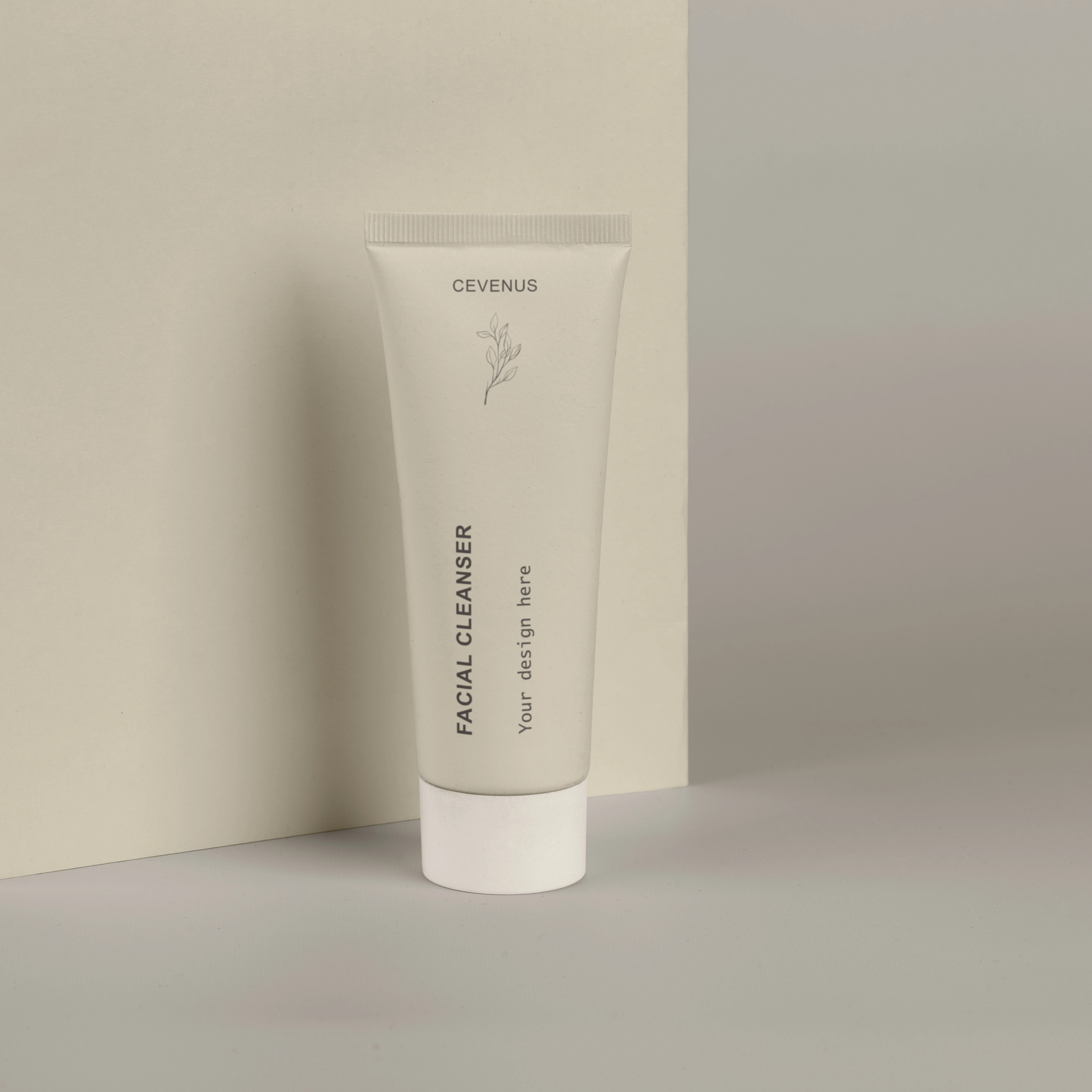 OEM ODM Private Label Natural Organic Cucumber Rose Blueberry Fruit Face Wash Harvest Salicylic Snail Unisex Facial Cleanser