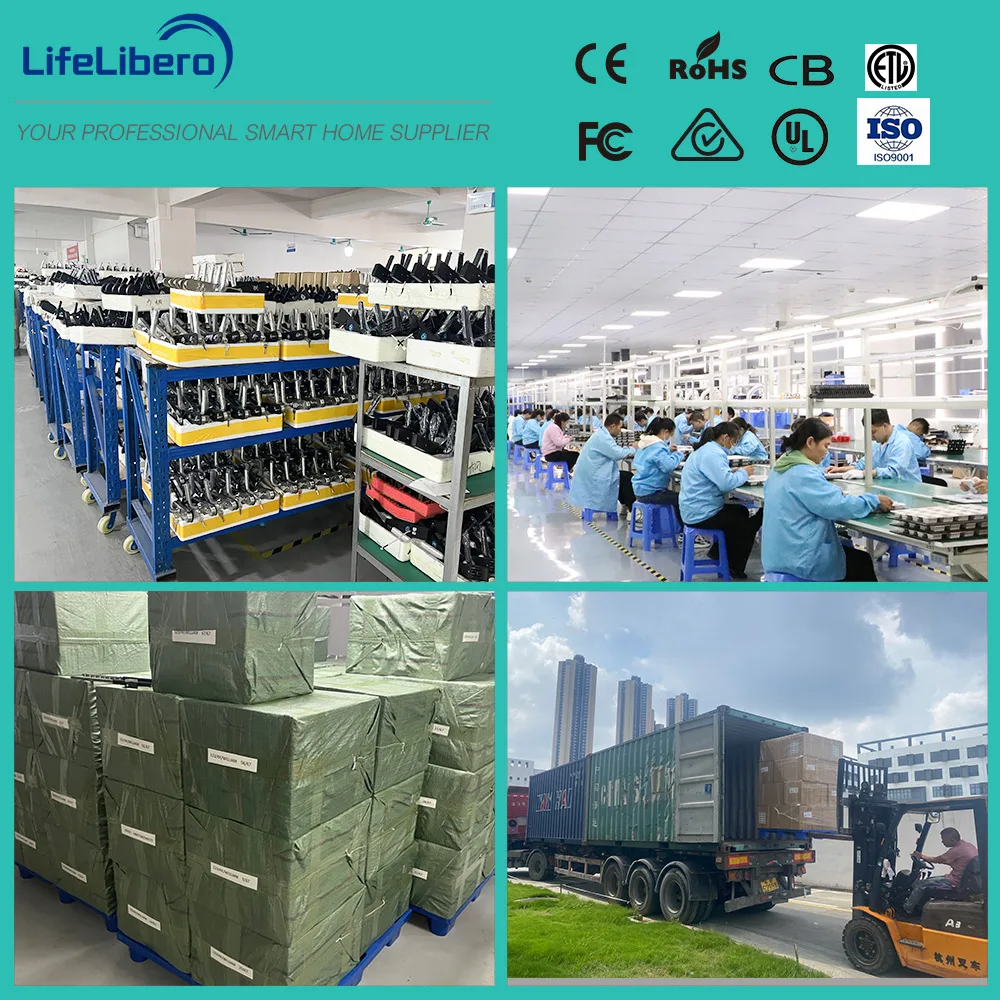 Lifelibero Tuya 3D распознавание лица умная 6068 Бесконтактный дверной замок с камерой