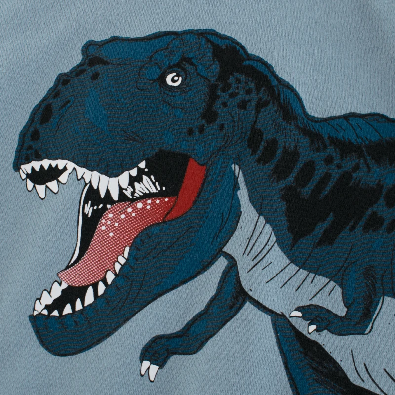 7Yr 8 Years Old Kid Boys Black Dinosaur Graphics Summer Short Sleeve Clothing T-Shirts For Children
