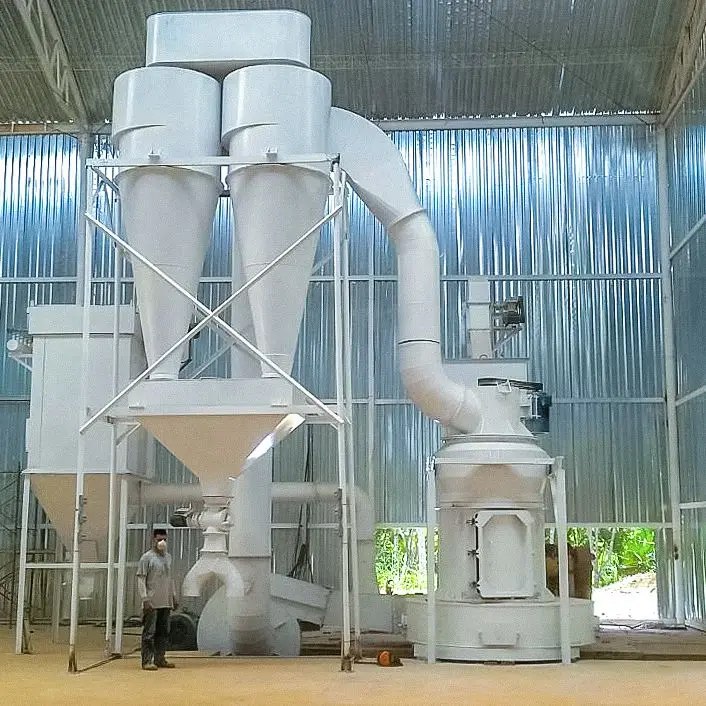 Vertical Micro Powder Stone Ore Calcium Carbonate Charcoal Raymond Grinding Mill Price
