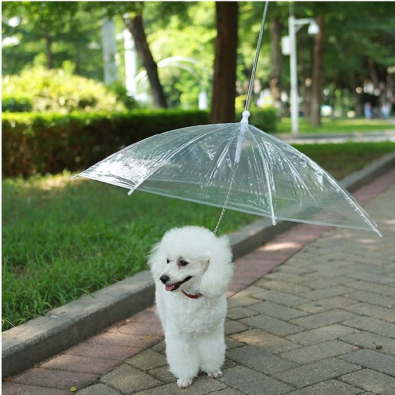 Umbrellas Waterproof For Dog J Handle Manufacturer Wholesale With Logo Printing Manual Dog Umbrella
