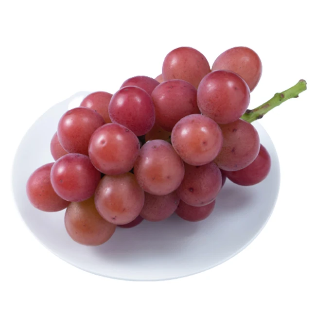 Reasonable price Japan high quality bulk flavor wholesale grapes