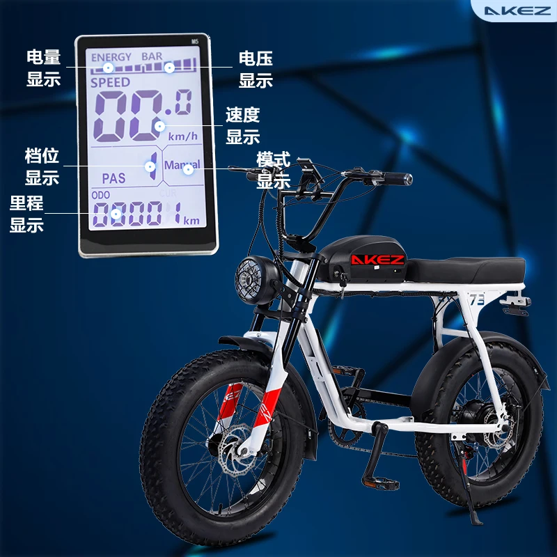 akez new energy S3 velo electrique EU USA electric super bicycle e 73 bike e-bike 500w 750w 1000w 1500w fatbike fat bike ebike