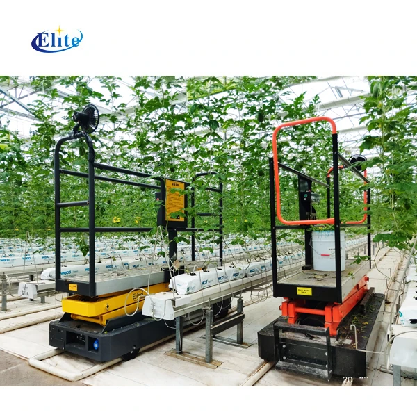 Greenhouse tractor agriculture equipment and tools hand carts & trolleys