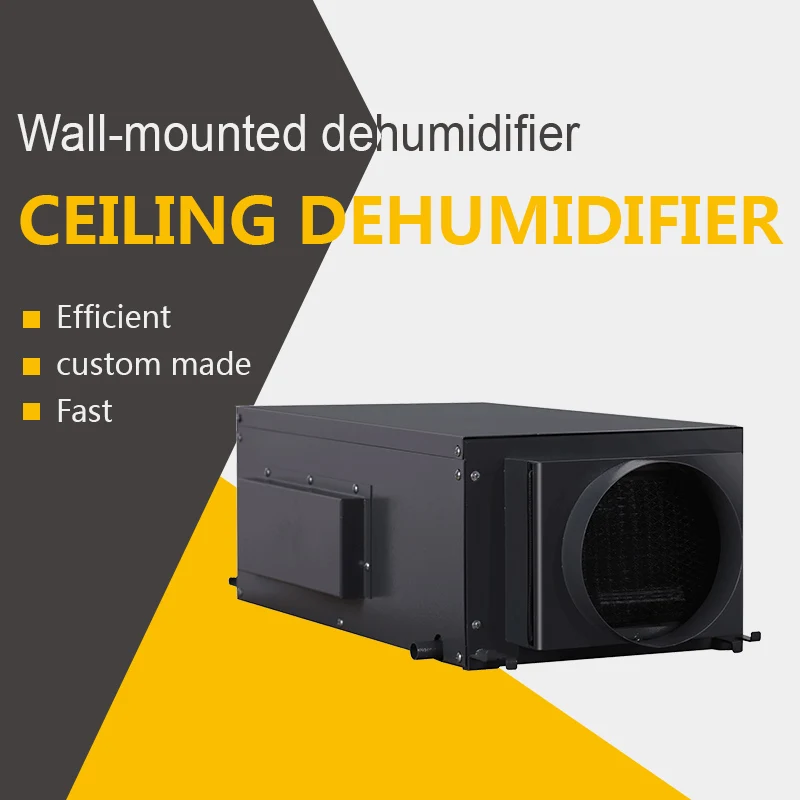 Прямая продажа с завода, коммерческий осушитель 12 В с очистителем воздуха, 30 л, бассейн для теплиц, промышленный