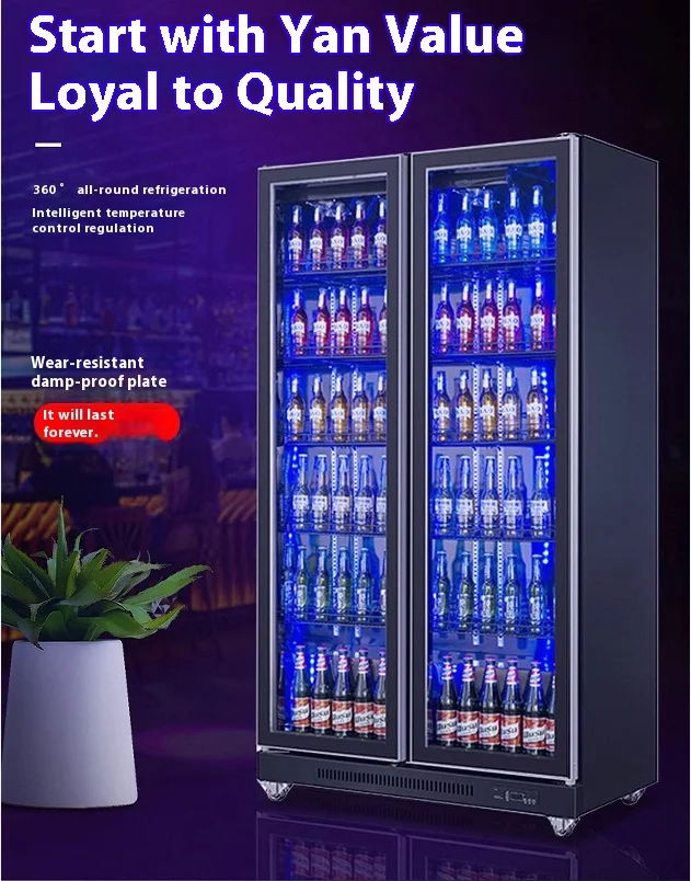 Factory Wholesale Single-Temperature Beer Display Cooler Beverage Display Fridge with Glass Door for Bar & Supermarket Use