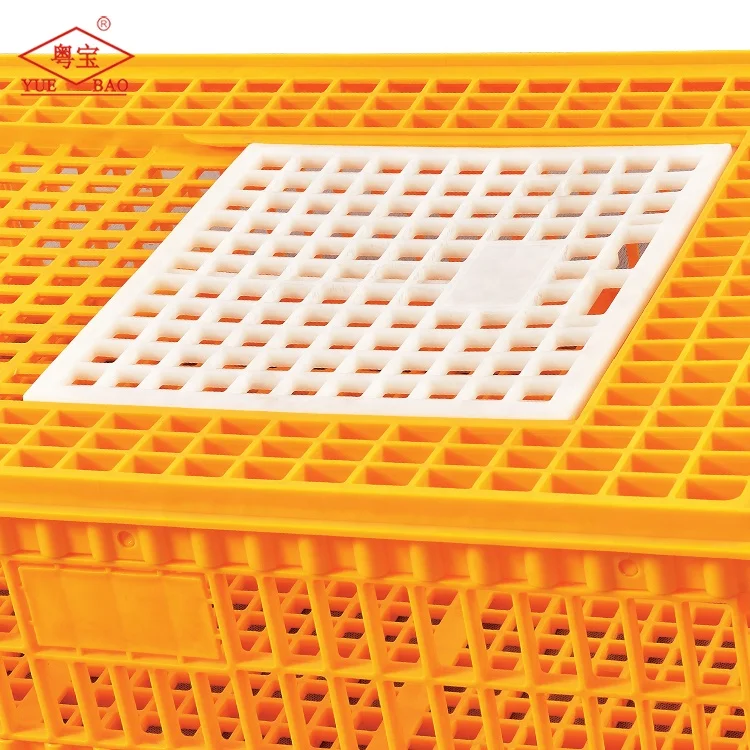 Transport Boxes For Pigeon, Cheap Price Pigeon Cage For Sale Agricultural Plastic Crates