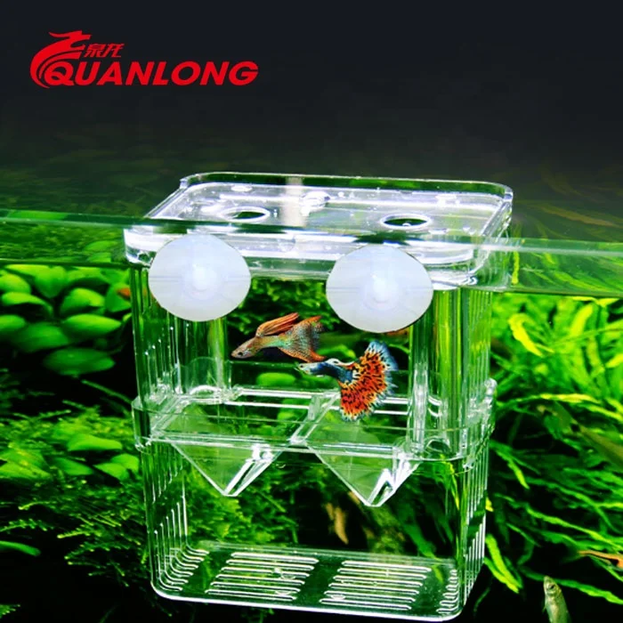 Aquarium  isolation incubator fish breeding box
