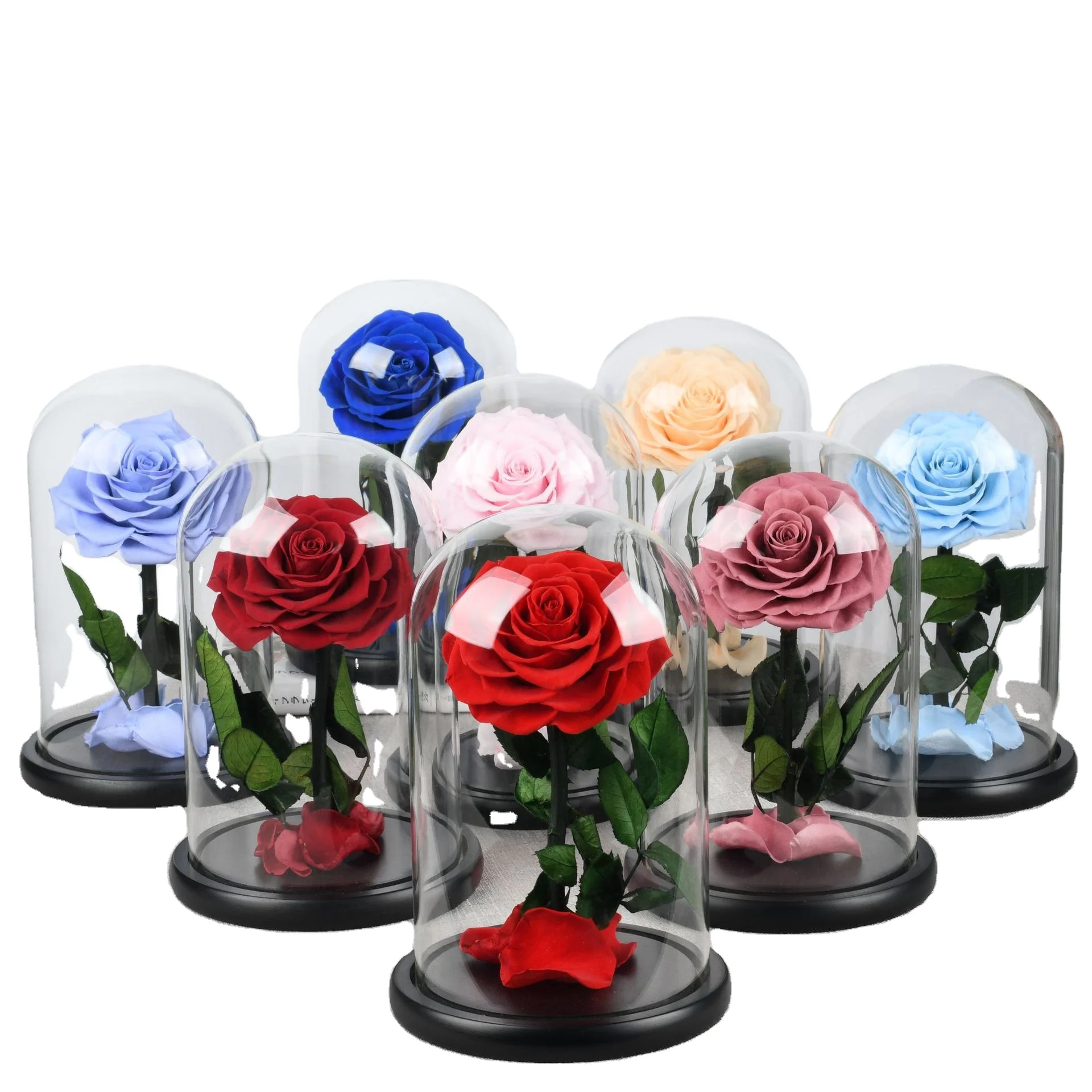 INUNION Long Lasting Preserved Forever Real Eternal Roses in Glass Dome with LED Light for Gift and Festival