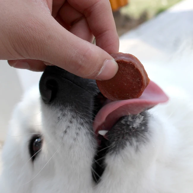 Wholesale High Quality Pet Treats and Food Rich in dietary fiber Lamb Ring for dog Snacks