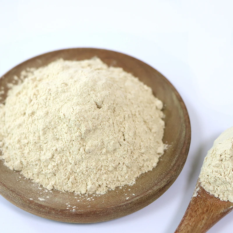Natural Garlic Powder Garlic Seasoning Powder White Garlic Powder