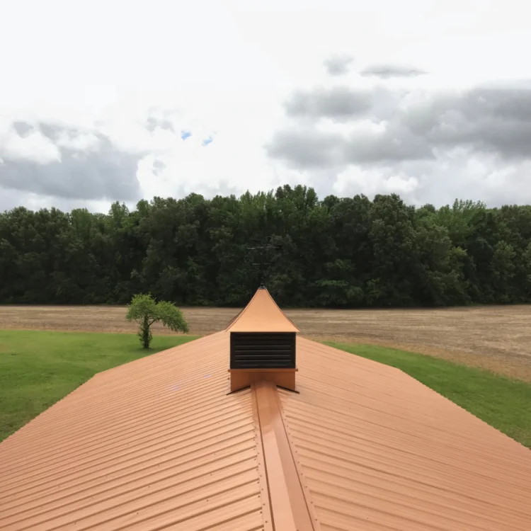 Low cost modern prefabricated building green house metal prefab steel structure home