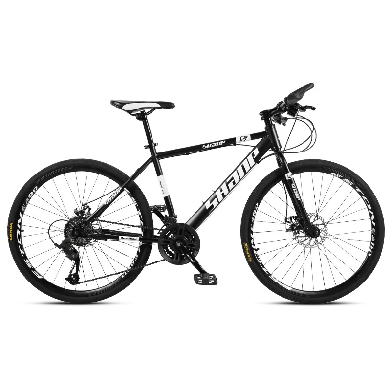 China bike direct factory hot selling cheap price high quality mountain bike for adult