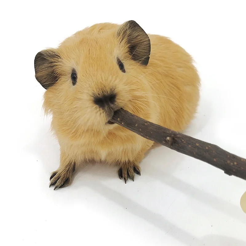 pet natural food for rabbit hamster guinea pig molar sticks rabbit chew toys guinea pig snacks Clean teeth Apple sticks