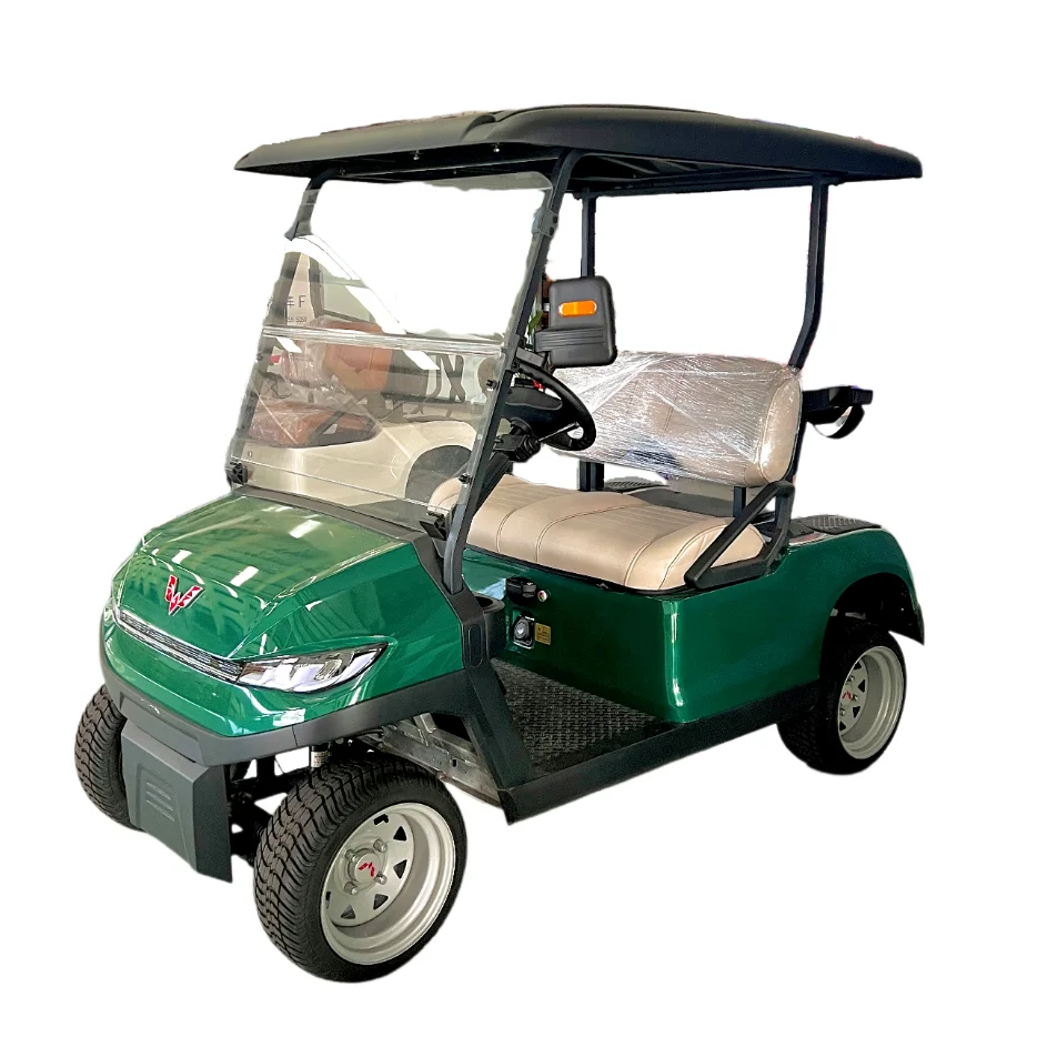 New Wuling 2-Seat Electric Golf Cart Buggy with 48V Battery Curtis Controller Aluminium Frame CE Certificates Luxury custom mini