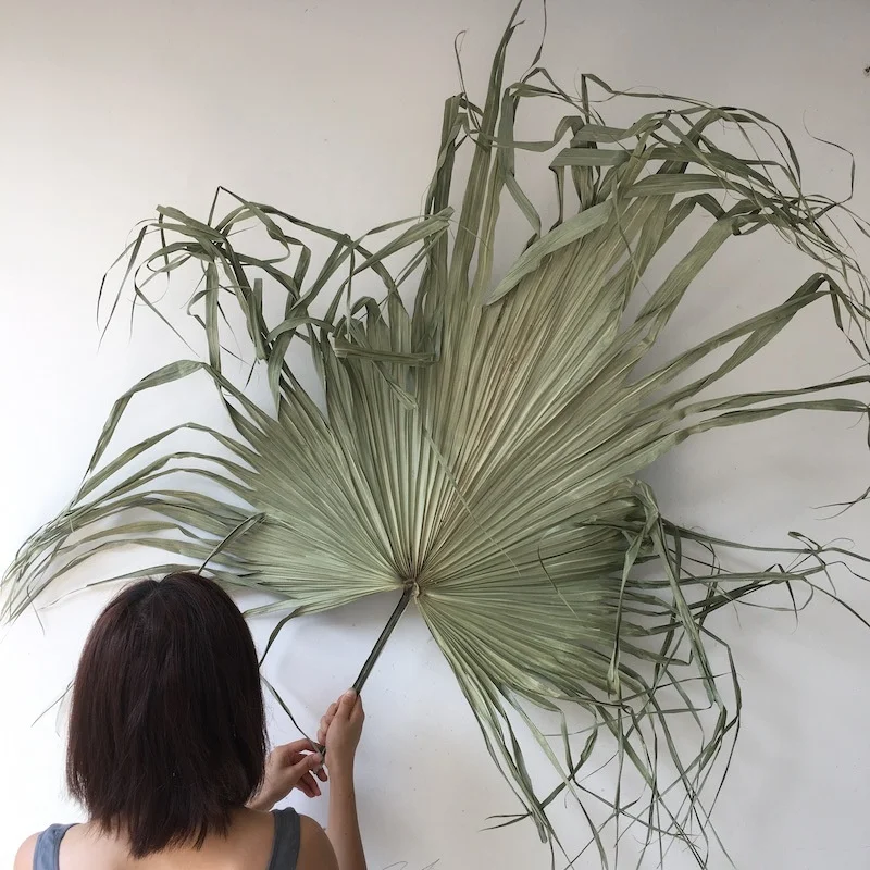 YAYUN W-3020 Wholesale Party Home Decoration Dried Palm Tree Leaves Spear