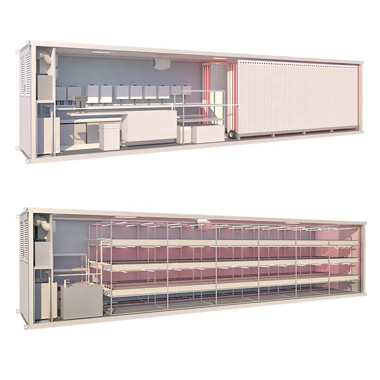 40HQ Complete vertical hydroponic growing  system container greenhouse for lettuce