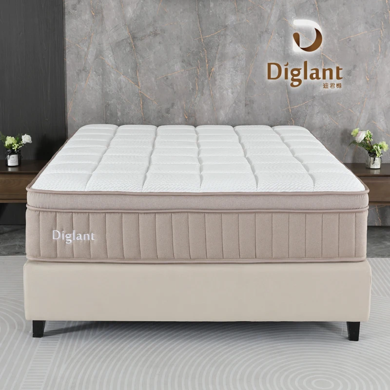 Popular New Design OEM/ODM Queen Size Mattress Memory Foam Pocket Spring Mattress