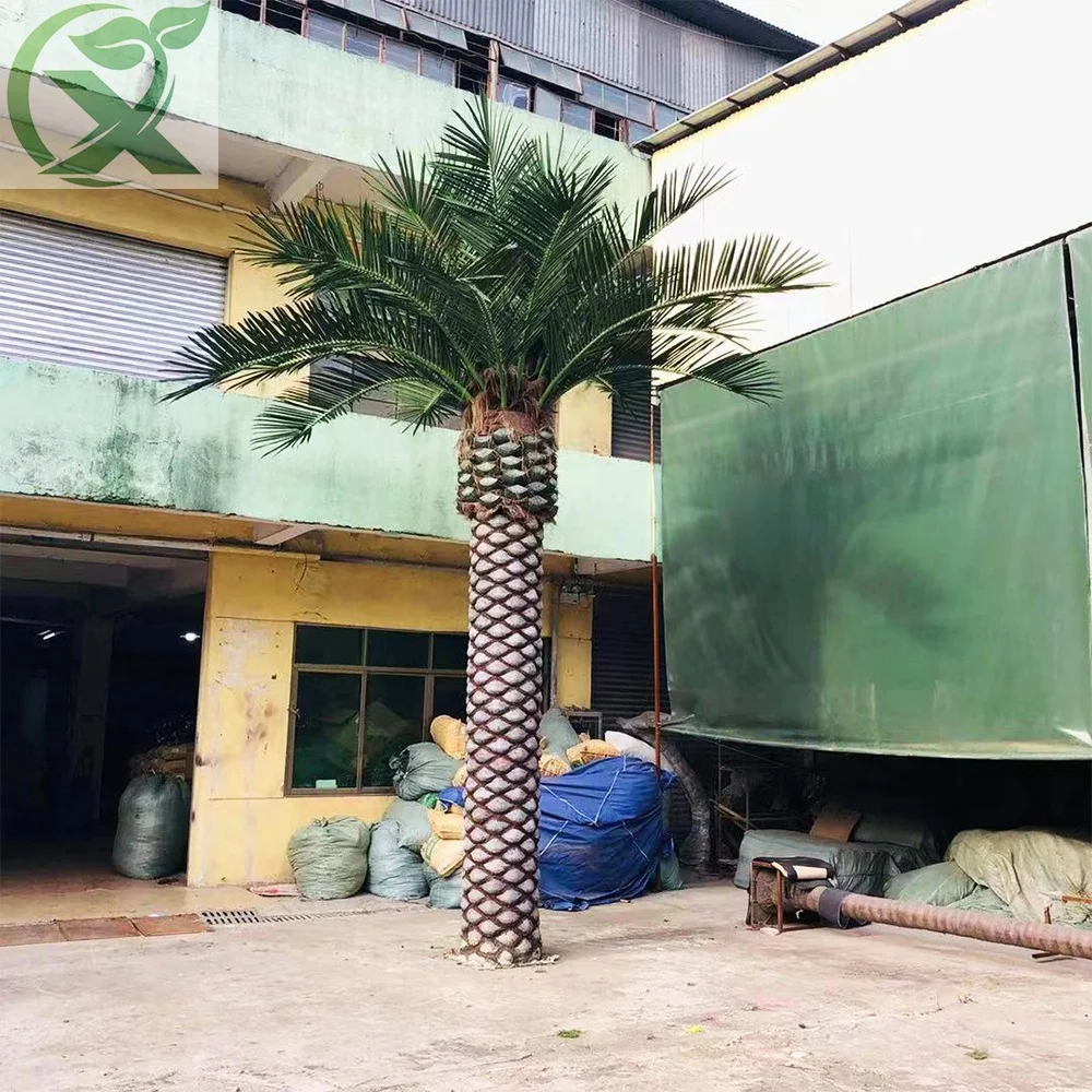 Outdoor Plastic Wholesale Date Palm Tree Large Decorative for Landscaping