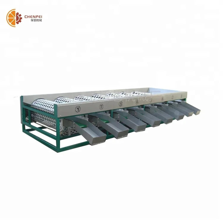 
High Quality Olive Sorting Machine for Sale Multifunctional Sorting Conveyor Machine with the Lowest Price 