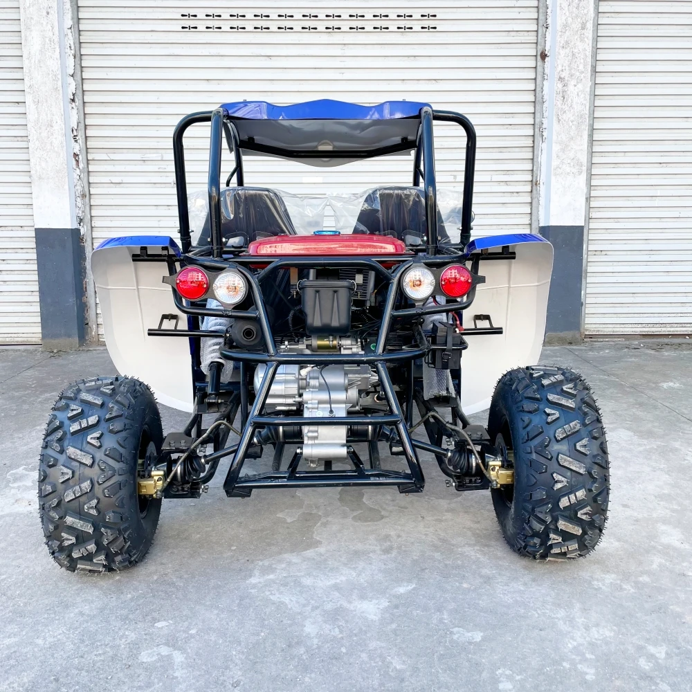 LNA mud race 300cc buggy for sale