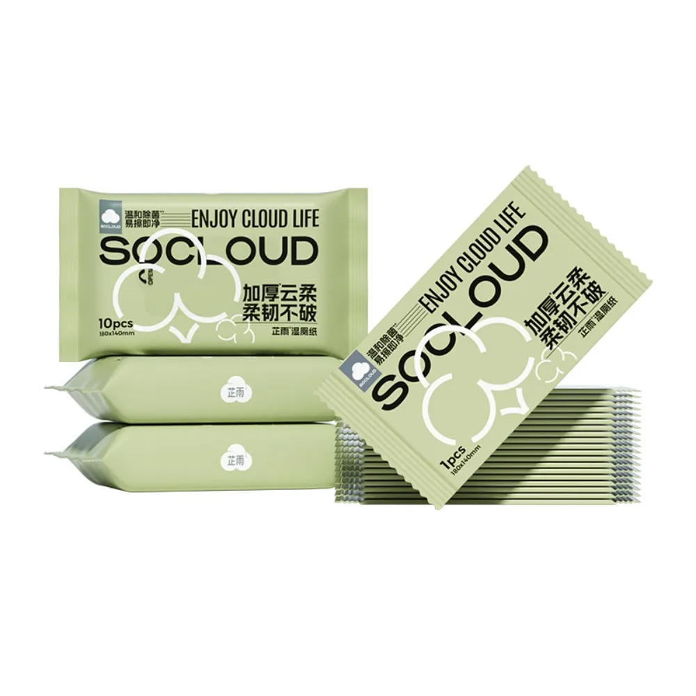 Factory Custom Disposable Baby Adult Antibacterial Cleaning Wet Wipes Flushable Biodegradable Bathroom Toilet Wet Wipes