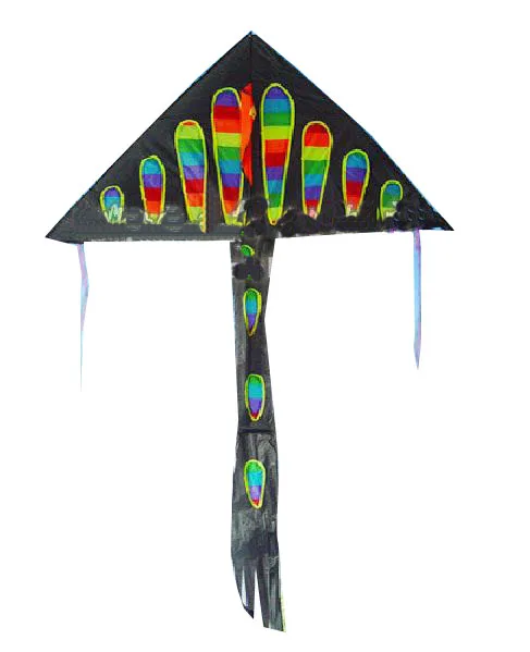 OEM Amazon Factory Direct Sale High Quality New Products Outdoor Sport Easy Flying Cartoon triangle Professional Kite To