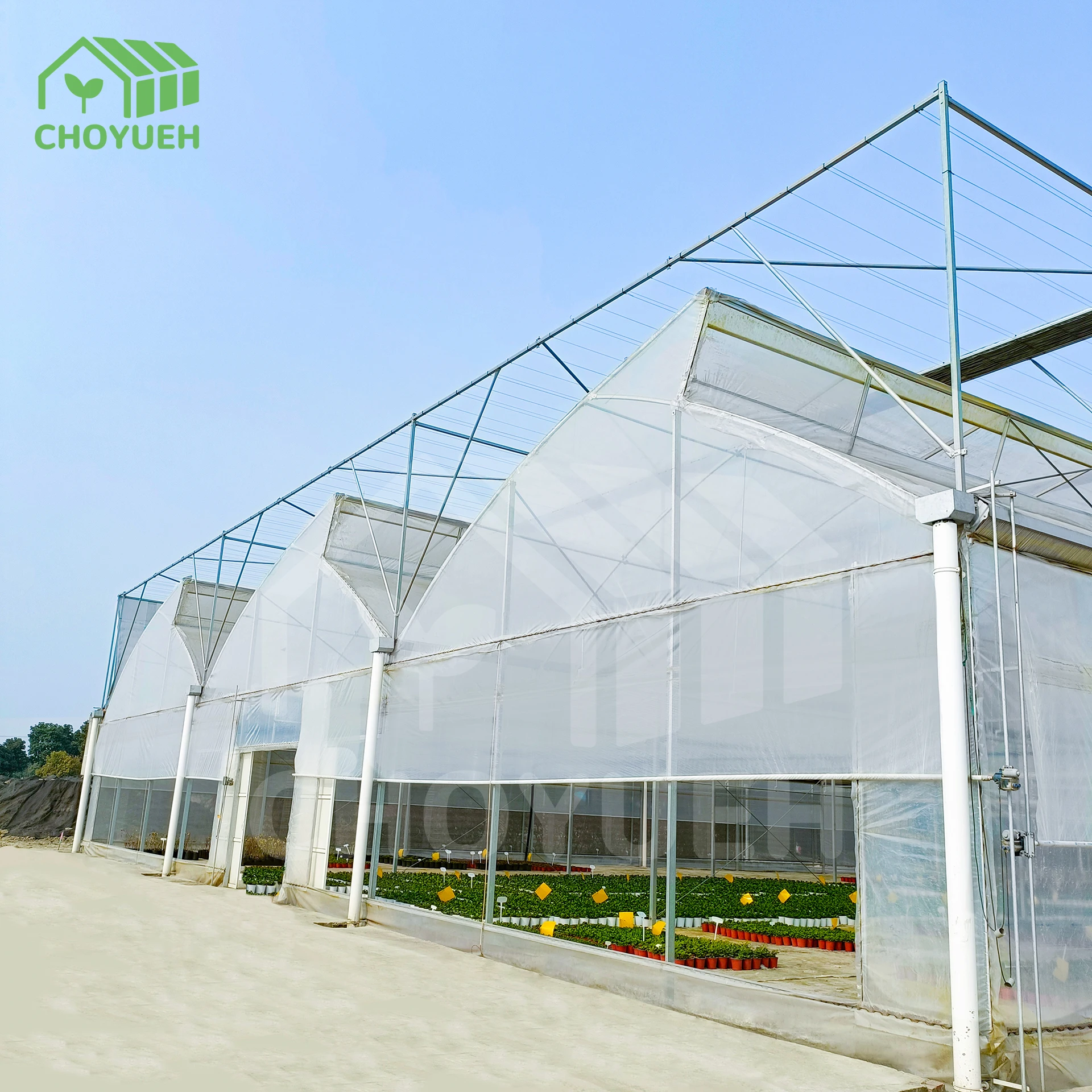 Commercial UV Film Multi-span Plastic Film Sawtooth Greenhouse China Manufacture Supplier Green house with hydroponic system