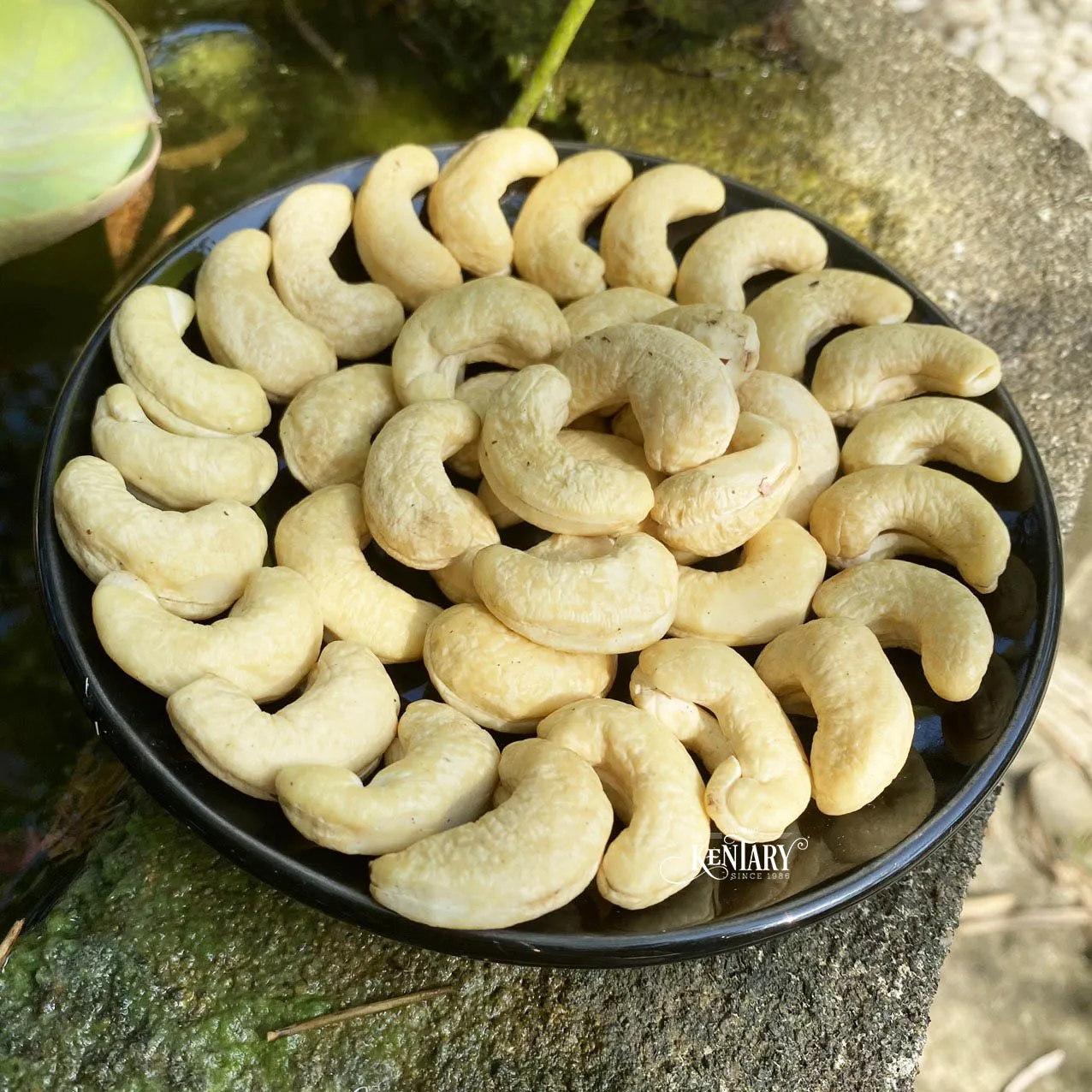 Bulk Vietnam Raw Whole Cashew Nuts W320 Best Quality Best Price Factory in Vietnam 100% Natural For Wholesale