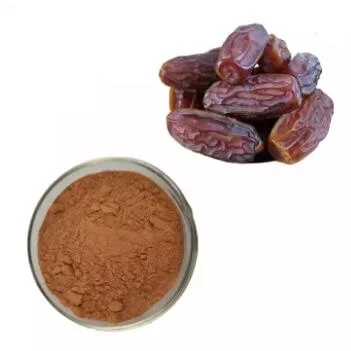 Supply High Grade Phoenix Dactylifera Date Palm Fruit Extract Powder