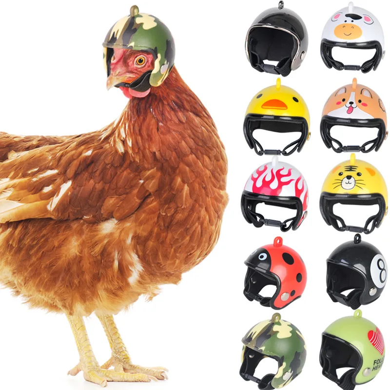 
Protective Chicken Helmet Pet Goose Safety Helmet Funny Parrot Chicken Bird Hat Headwear Costumes Accessories 