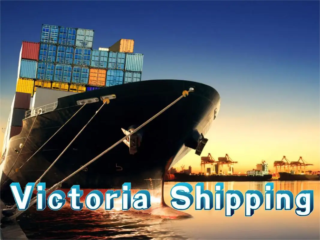 Hot sale and the cheap sea freight with the profession service and high quality
