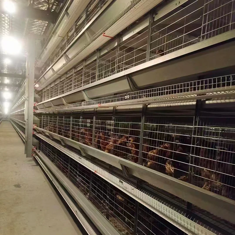 Good Price H-Shaped Chicken Layer Cage Full Automatic for Poultry Farm Coop for Chicken Rearing