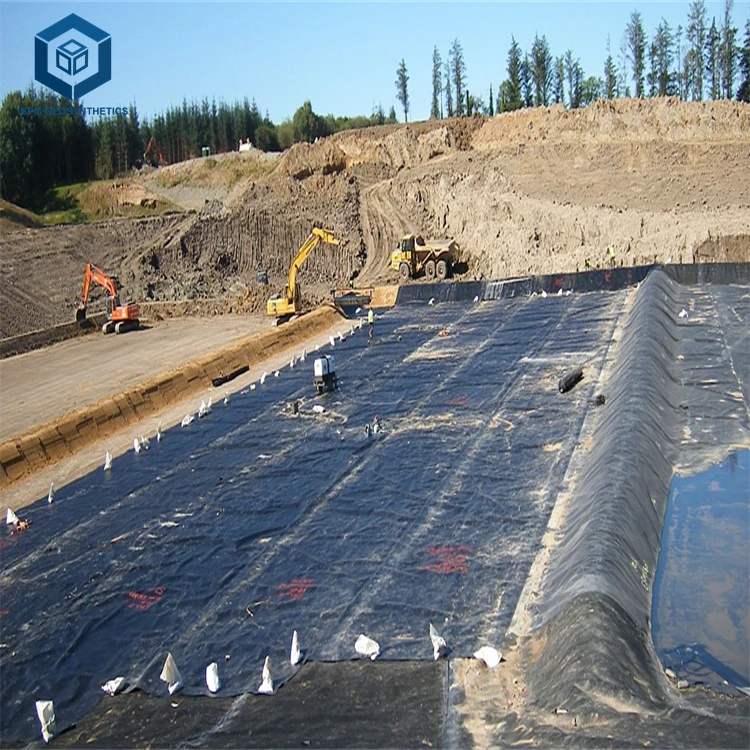 Double Tough Waterproofing Pond Geomembrane Sheet Price for Mining Project in Kenya