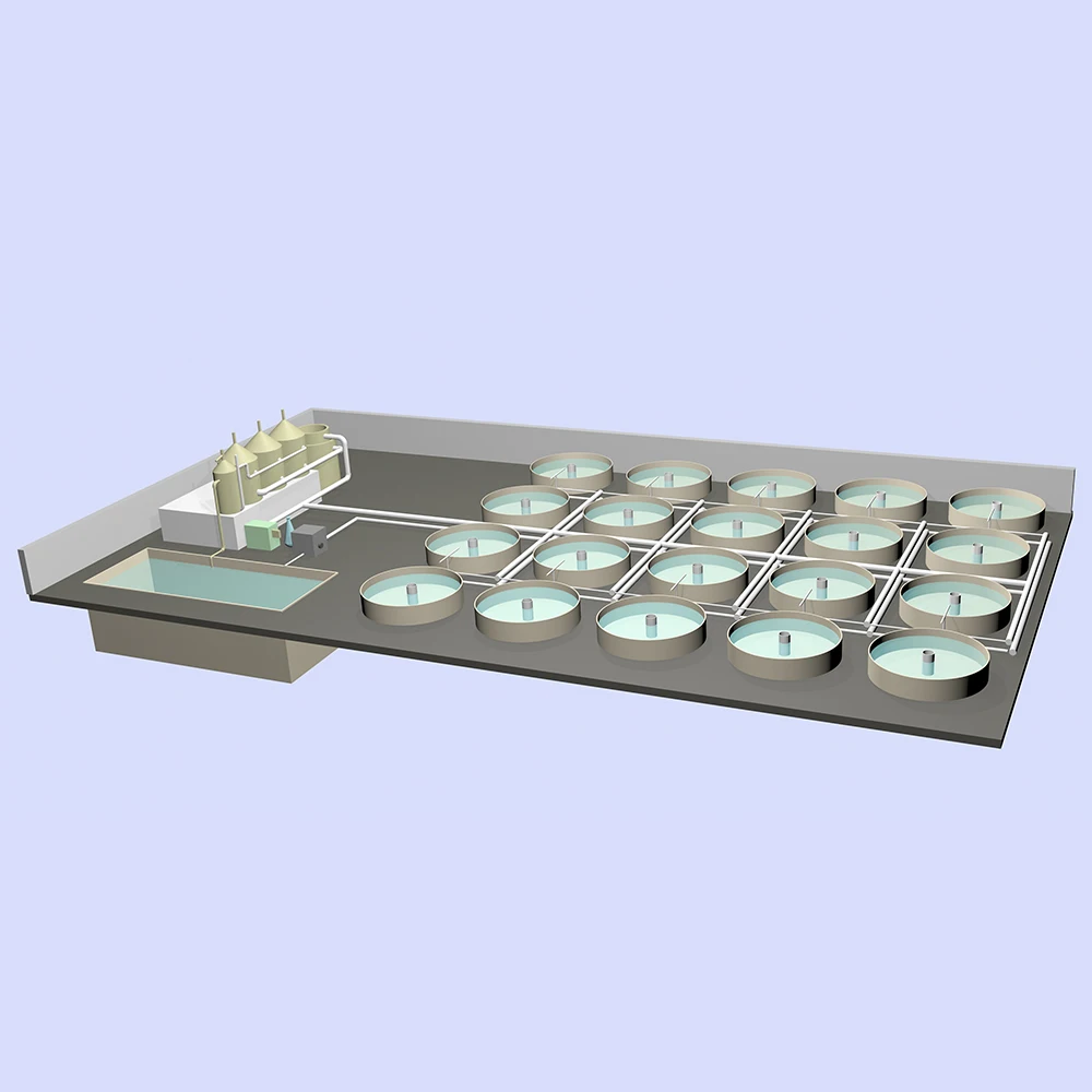 Aquaculture Biological Filter Recirculating Aquaculture System/RAS/Fish Grow Out System