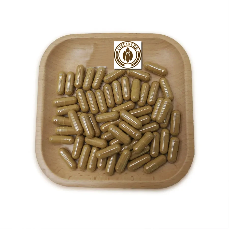 60Capsules/pack Improve Enhance Immunity Cistanche Tubulosa Extract Tablets 30% Echinacoside 12% Acteoside Cistanche Extract