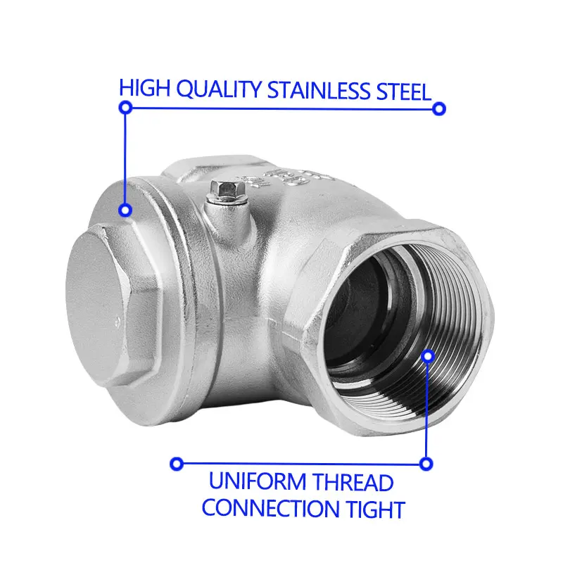 Wholesale 304 Stainless Steel Valve Thread Swing Check Valve For Oil Water Gas