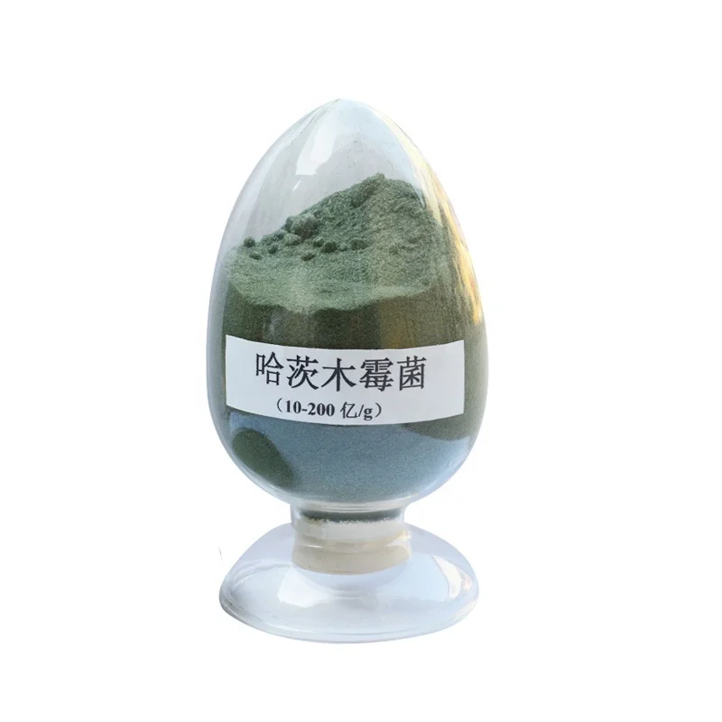 Agriculture Green Eco-friendly Effective Microorganism Fertilizer T22 High Living Bacterial Trichoderma Harzianum