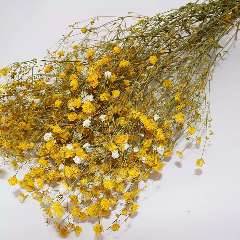 100 г в букете консервированные цветы Babysbreath Натуральные сушеные декор для вечеринки и дома фиолетовые вечные