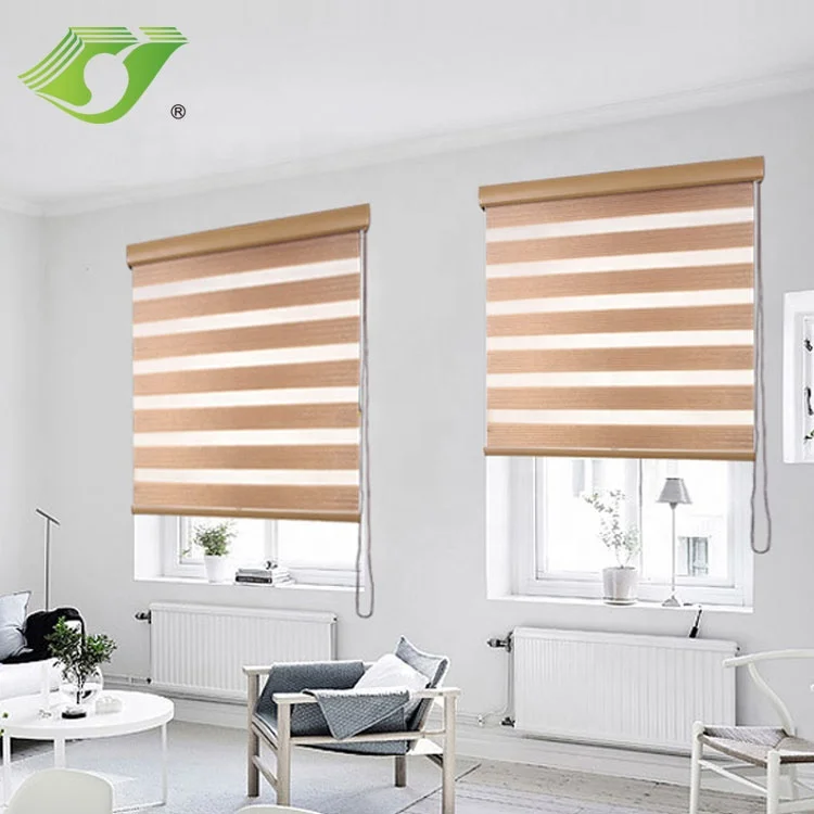 Wholesale indoor double roller shade zebra blinds cheap price for window