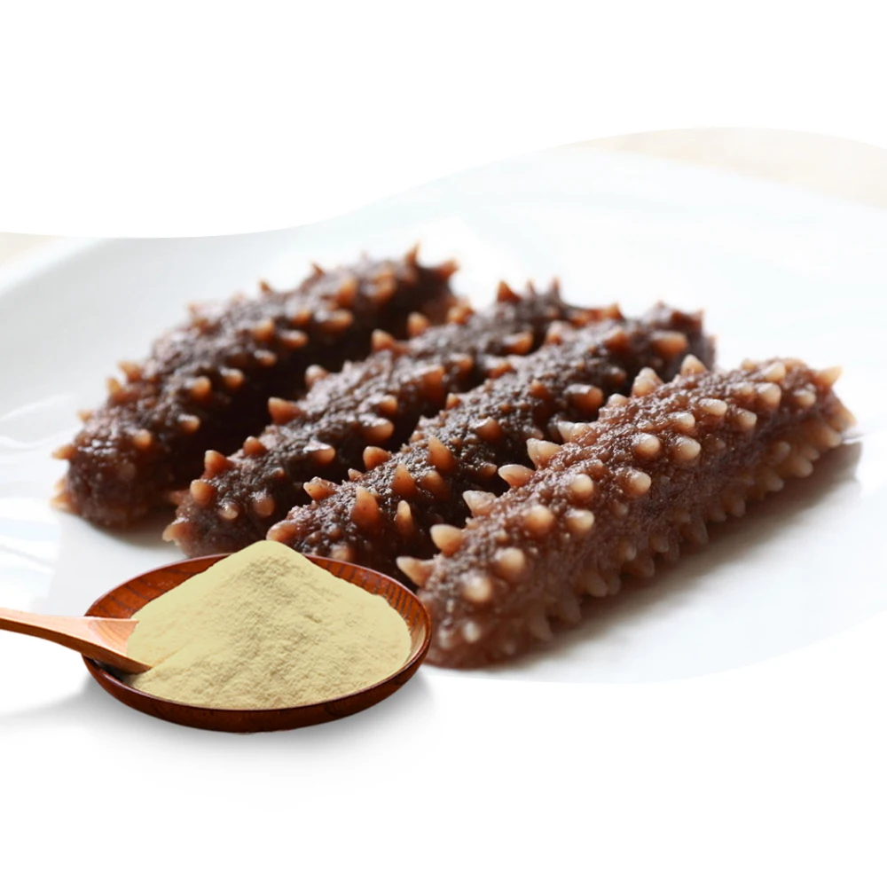 
Pure additives food sea cucumber extract protein collagen peptide powder 