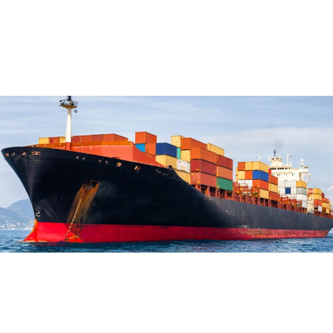 International logistic DDP Door to Door yiwu/shenzhen Sea Freight Forwarder Sea dropshipping Agent From China To NL/LU/CZ/PL/BE