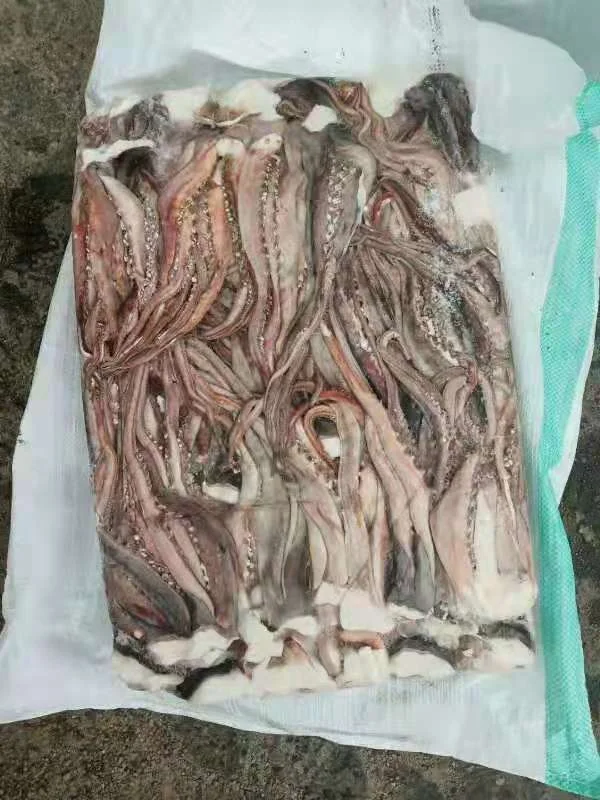 
Good Sale Frozen Squid Tentacles 