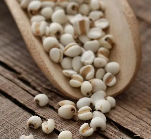 
Semen Coicis Extract Coix Lacryma Jobi Extract 