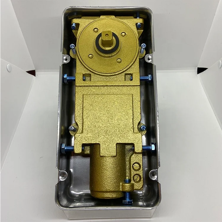 High quality Italy Type Adjustable Heavy Duty double cylinder floor spring for glass door