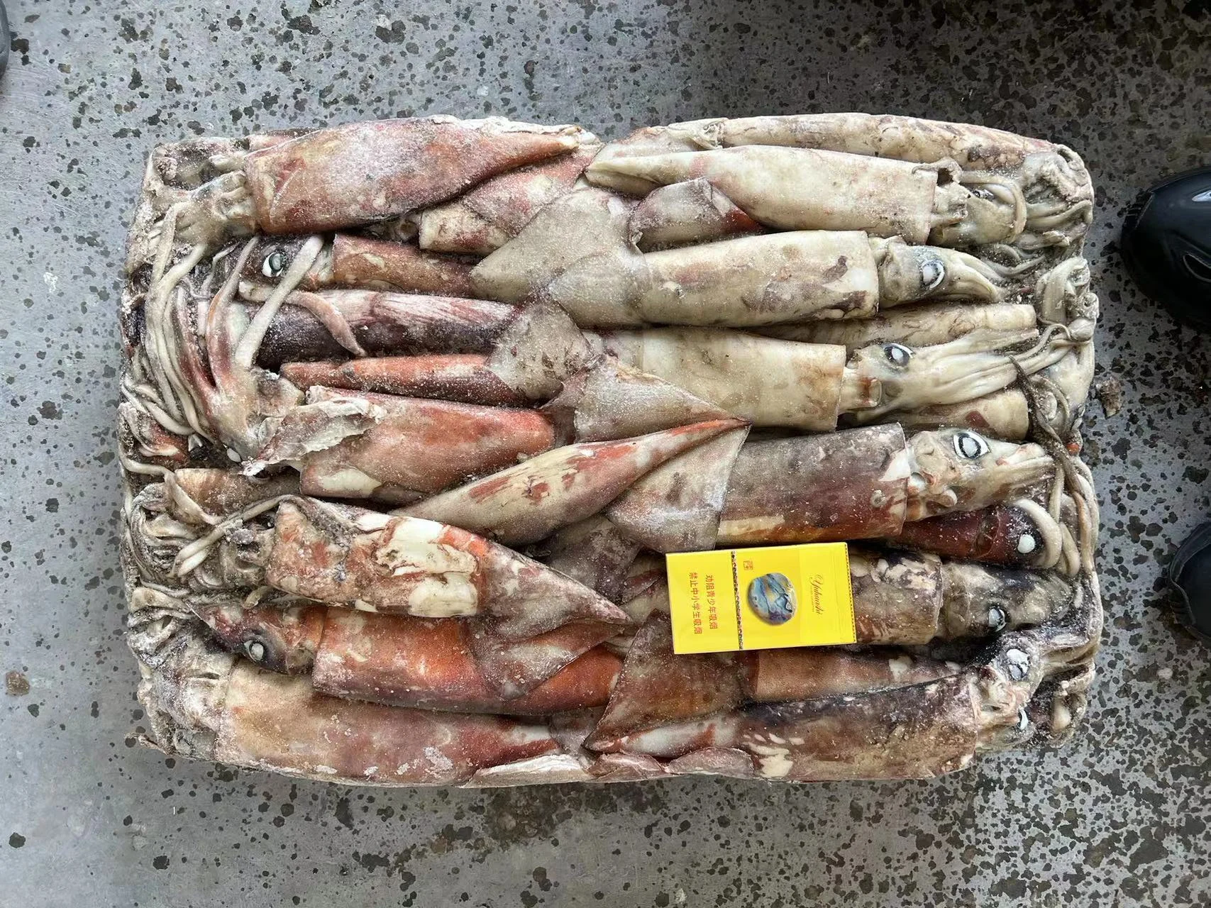 High Quality Dosidicus Gigas Congeles Giant Squid 300-500g Frozen Peru Squid to Thailand Market