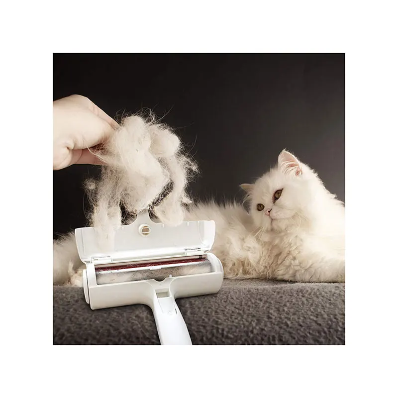 
wholesale CHEAP PRICE brush pet hair brush for cat new design 